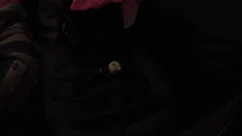 martamoontrans online show from 17, 11, 2025