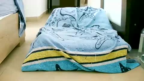 Play with me I obey I promise  online show from 12, 10, 2025