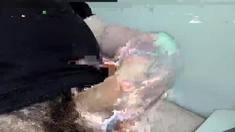 mas12345678910 online show from 1, 12, 2024