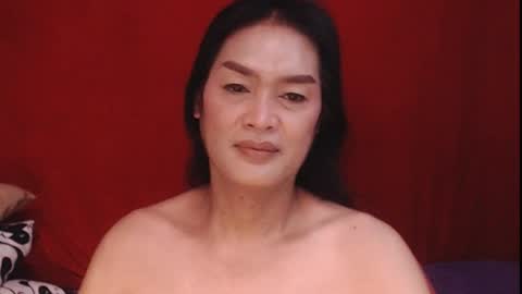 dhalz online show from 14, 4, 2026