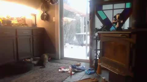 The Big Duurty online show from 15, 2, 2025