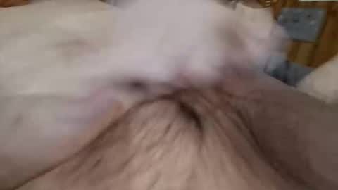 masturbator469658 online show from 7, 11, 2025