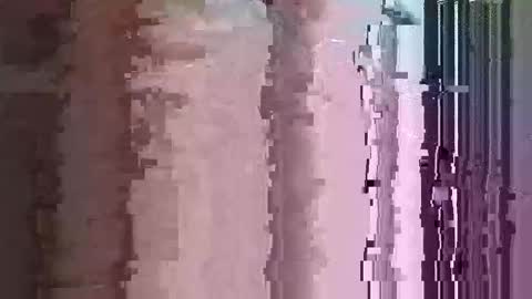 maththebear96 online show from 13, 4, 2026