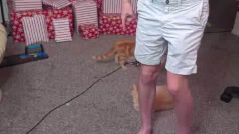 Matt Cash online show from 26, 12, 2024