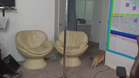 Matt Cash online show from 10, 1, 2025