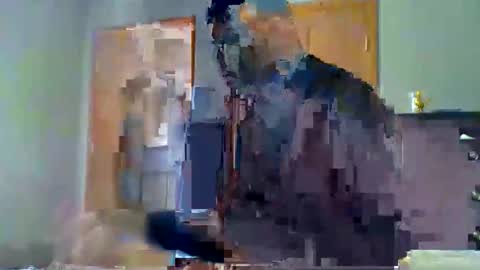 mauricescott online show from 11, 4, 2026