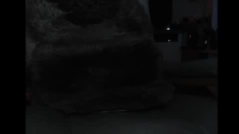 mav1962 online show from 5, 4, 2026