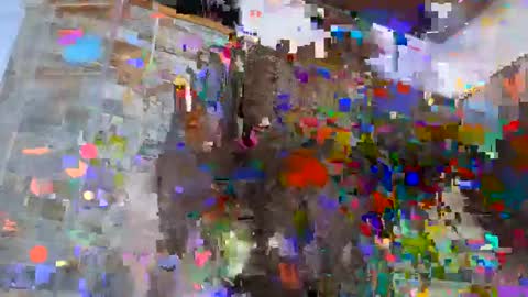 Sebastian online show from 4, 12, 2024