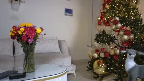 Sebastian online show from 7, 12, 2024