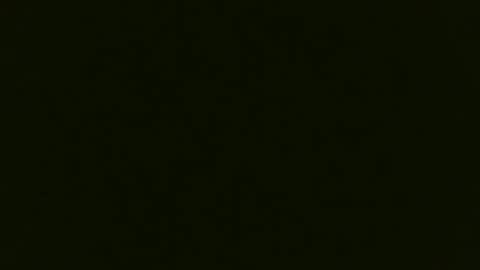 maybeyoushould online show from 24, 11, 2025