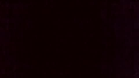 McFly online show from 2, 2, 2026