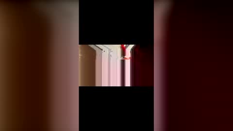 Snapshot of mcgriffwes2 chatting on 12, 2, 2026 mcgriffwes2 online show from 12, 2, 2026