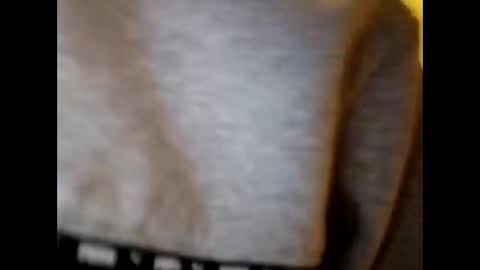 meateater7455 online show from 4, 4, 2026