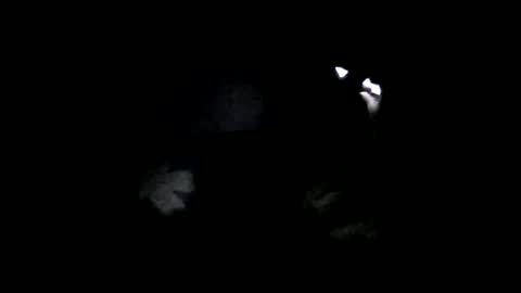 Snapshot of medjik_lool chatting on 6, 2, 2025 Oltereodora-lima online show from 6, 2, 2025