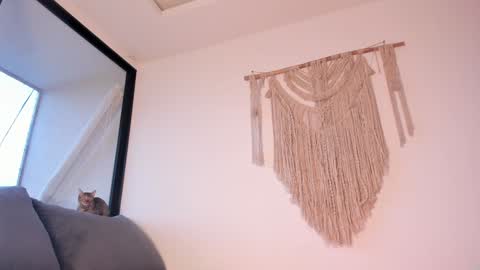 megan online show from 3, 1, 2025