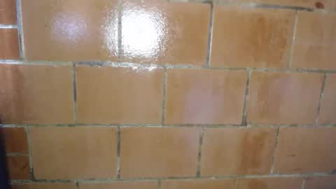 Megan and sophi online show from 9, 4, 2026