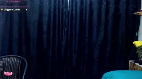 Snapshot of meganadriels96 chatting on 28, 12, 2024 M E G A N online show from 28, 12, 2024