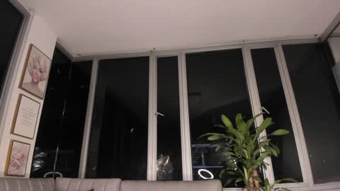 Snapshot of megann__sweet chatting on 31, 1, 2025 Mara online show from 31, 1, 2025