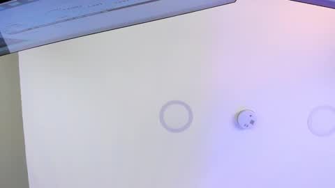 Meganritz online show from 24, 2, 2025