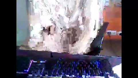 Snapshot of meks5544 chatting on 12, 4, 2026 meks5544 online show from 12, 4, 2026