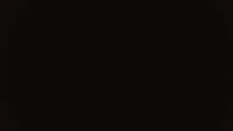 MELANI online show from 26, 11, 2025