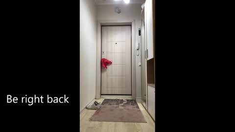 Snapshot of melina_beauty chatting on 25, 2, 2026 Melina online show from 25, 2, 2026