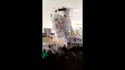 melissaknowles46 online show from 1, 2, 2026