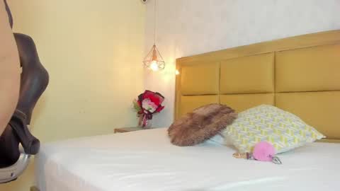    online show from 11, 4, 2026