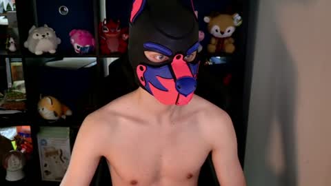 MellPUP online show from 8, 6, 2026