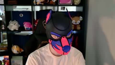 MellPUP online show from 11, 6, 2026