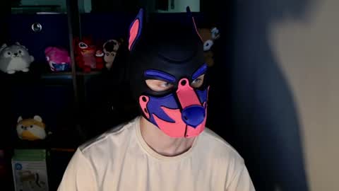 MellPUP online show from 16, 6, 2026