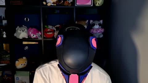 MellPUP online show from 17, 6, 2026