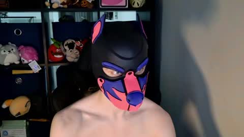 MellPUP online show from 20, 6, 2026
