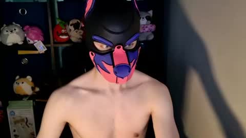 MellPUP online show from 24, 6, 2026