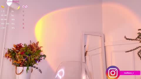 Snapshot of melytaylor chatting on 5, 3, 2025 Melissa online show from 5, 3, 2025
