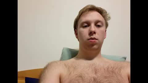 meow732 online show from 18, 12, 2025