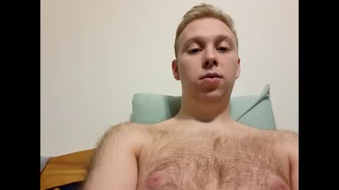 meow732 online show from 20, 12, 2025