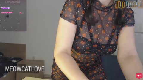 Snapshot of meowcatlove chatting on 6, 12, 2024 meowcatlove online show from 6, 12, 2024
