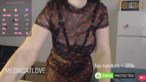 Snapshot of meowcatlove chatting on 29, 1, 2025 meowcatlove online show from 29, 1, 2025