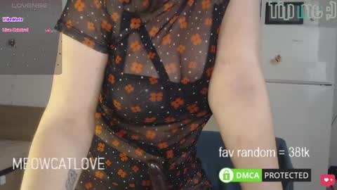 Snapshot of meowcatlove chatting on 4, 3, 2025 meowcatlove online show from 4, 3, 2025
