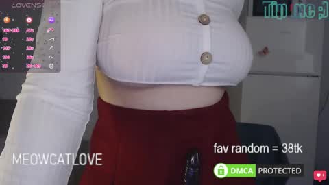 Snapshot of meowcatlove chatting on 8, 3, 2025 meowcatlove online show from 8, 3, 2025