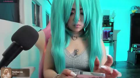 meowmelf online show from 2, 12, 2025