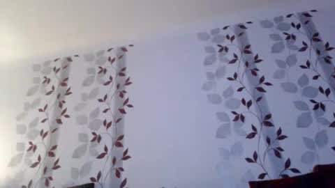 Snapshot of metallbuddy chatting on 12, 1, 2025 ask me online show from 12, 1, 2025