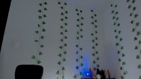 MIA online show from 6, 3, 2026