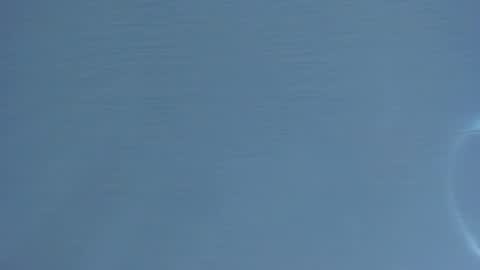 Mia online show from 16, 1, 2026