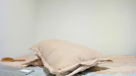 MIA INDEPENDENT MODEL  online show from 16, 10, 2025