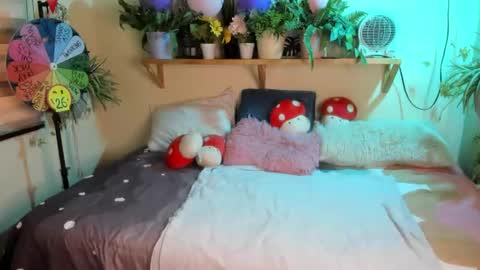 Miaa online show from 3, 2, 2026