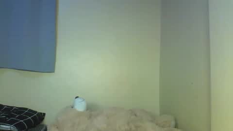 Muffin online show from 17, 12, 2025