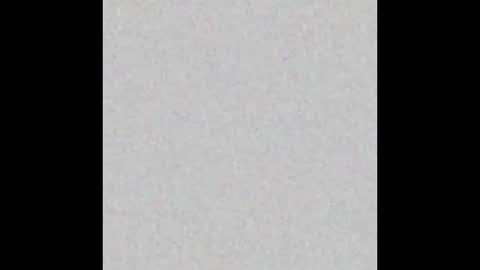 miamiboy936371 online show from 10, 11, 2025