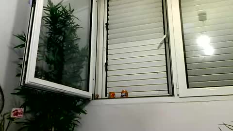 MILO MIAMI online show from 28, 6, 2026